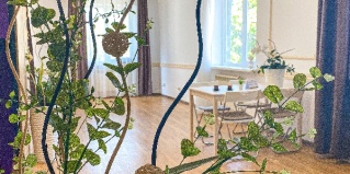 Кисловодск: Капсульные отели Vertebra