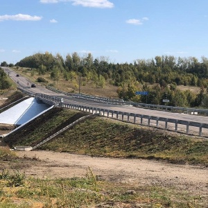 Фото от владельца Департамент транспорта и автомобильных дорог Воронежской области