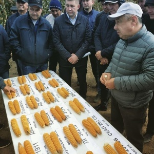 Фото от владельца Татагрохимсервис, ОАО, торгово-производственная фирма