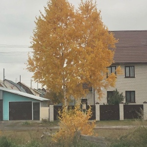 Фото от владельца Аверс, сервисный центр