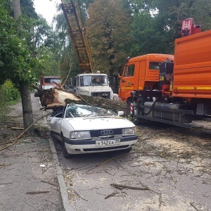 Фото от владельца Лесоруб 39, компания по благоустройству территорий