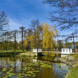 Фото от владельца Самбия, ресторан