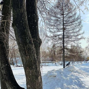 Фото от владельца Берёзовский рабочий, газета