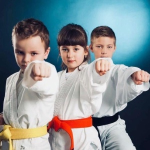 Фото от владельца Shotokan, секция карате