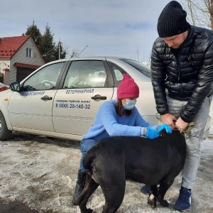 Фото от владельца Участковый ветеринарный пункт Кировского района