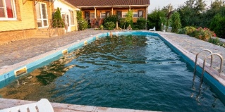 Ярославская: Отель Золотая рыбка