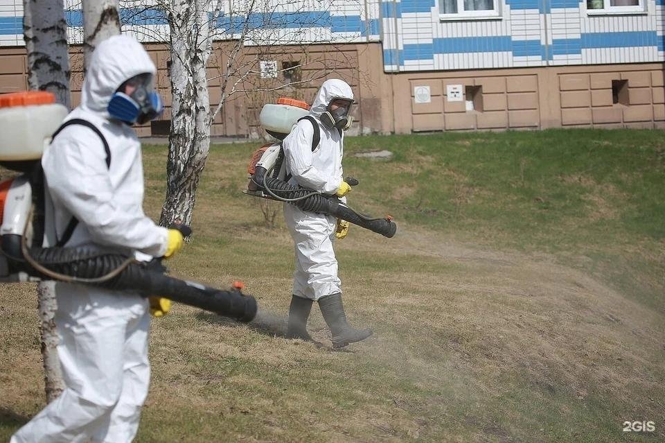 Дезинфекция территории. Дезинфекция территории
