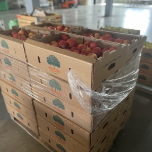 Фото от владельца Amal Bio, компания по выращиванию и продаже яблок