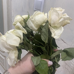 Фото от владельца La Fleur, цветочный салон