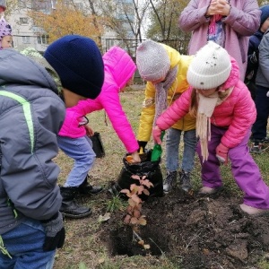 Фото от владельца Рябинка, детский сад №117 комбинированного вида