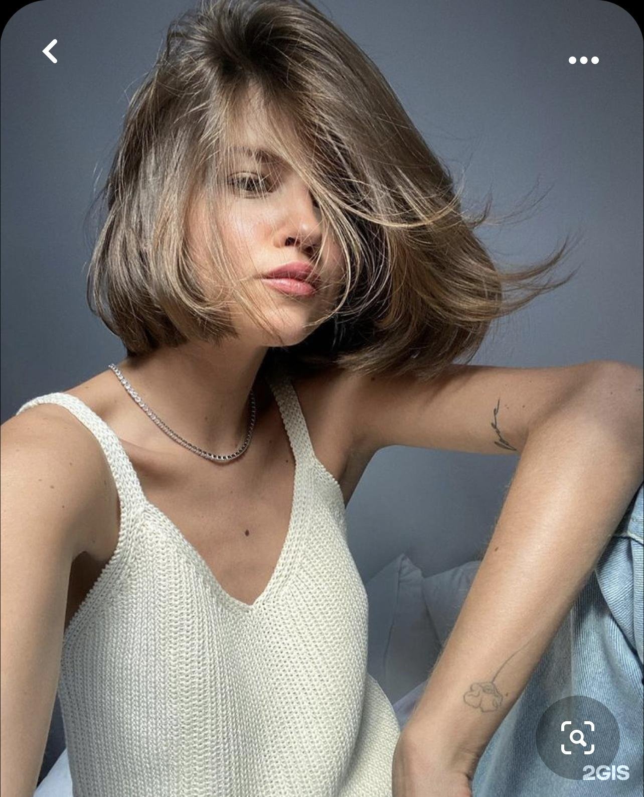 Pollyhey
