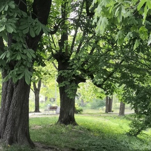 Фото от владельца Южный, ландшафтный парк