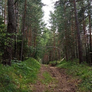 Фото от владельца Бузим, загородный клуб