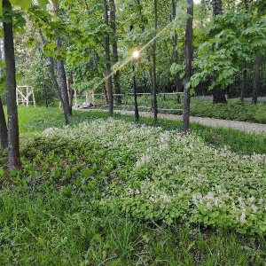 Фото от владельца Сокольники, парк культуры и отдыха