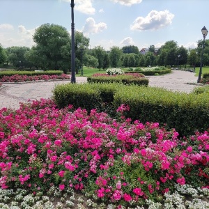 Фото от владельца Царицыно, парк культуры и отдыха