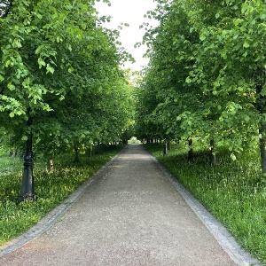 Фото от владельца Царицыно, парк культуры и отдыха