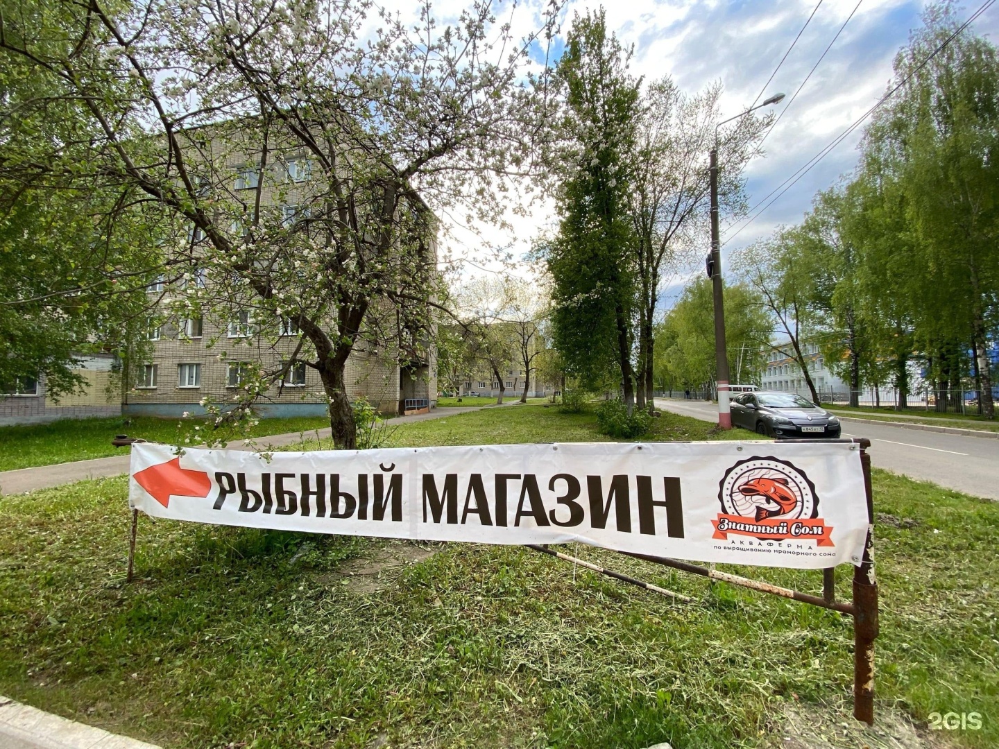 Мраморный сом саранск васенко. Почтовая марка рыбалка. Знатный сом адрес. Знатный сом саранск. Знатный сом адрес.