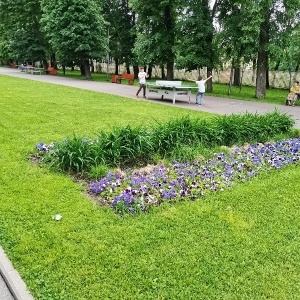 Фото от владельца Перовский, парк культуры и отдыха