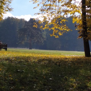 Фото от владельца Царицыно, парк культуры и отдыха