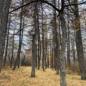 Фото от владельца Экологический парк, МБУ