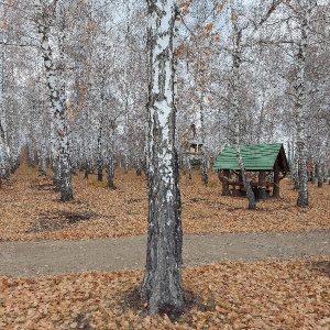 Фото от владельца Экологический парк, МБУ