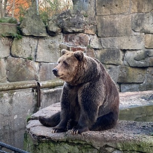Фото от владельца Калининградский зоопарк