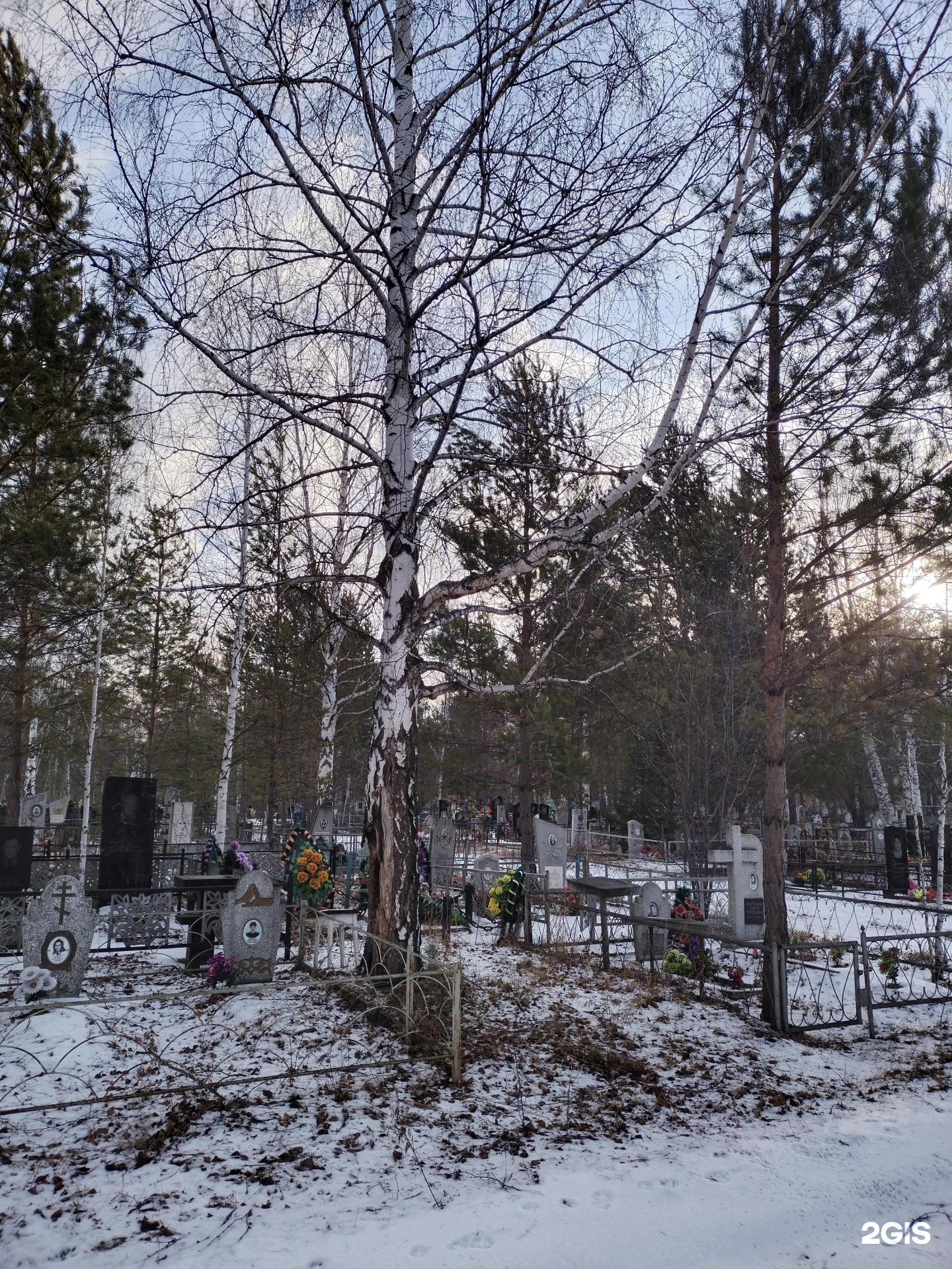 Федяковское кладбище Киров. Кладбище Кирова Макеевка. Лобановское кладбище Киров. Кировское кладбище фото.