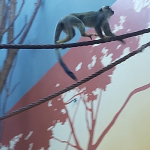 Фото от владельца Белгородский Зоопарк