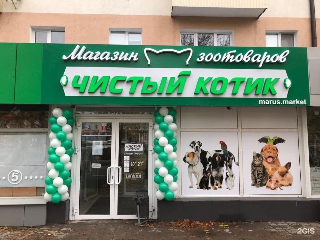 Чистый котик стерлитамак