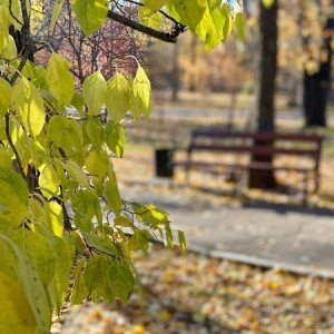 Фото от владельца Городской парк культуры и отдыха, МП