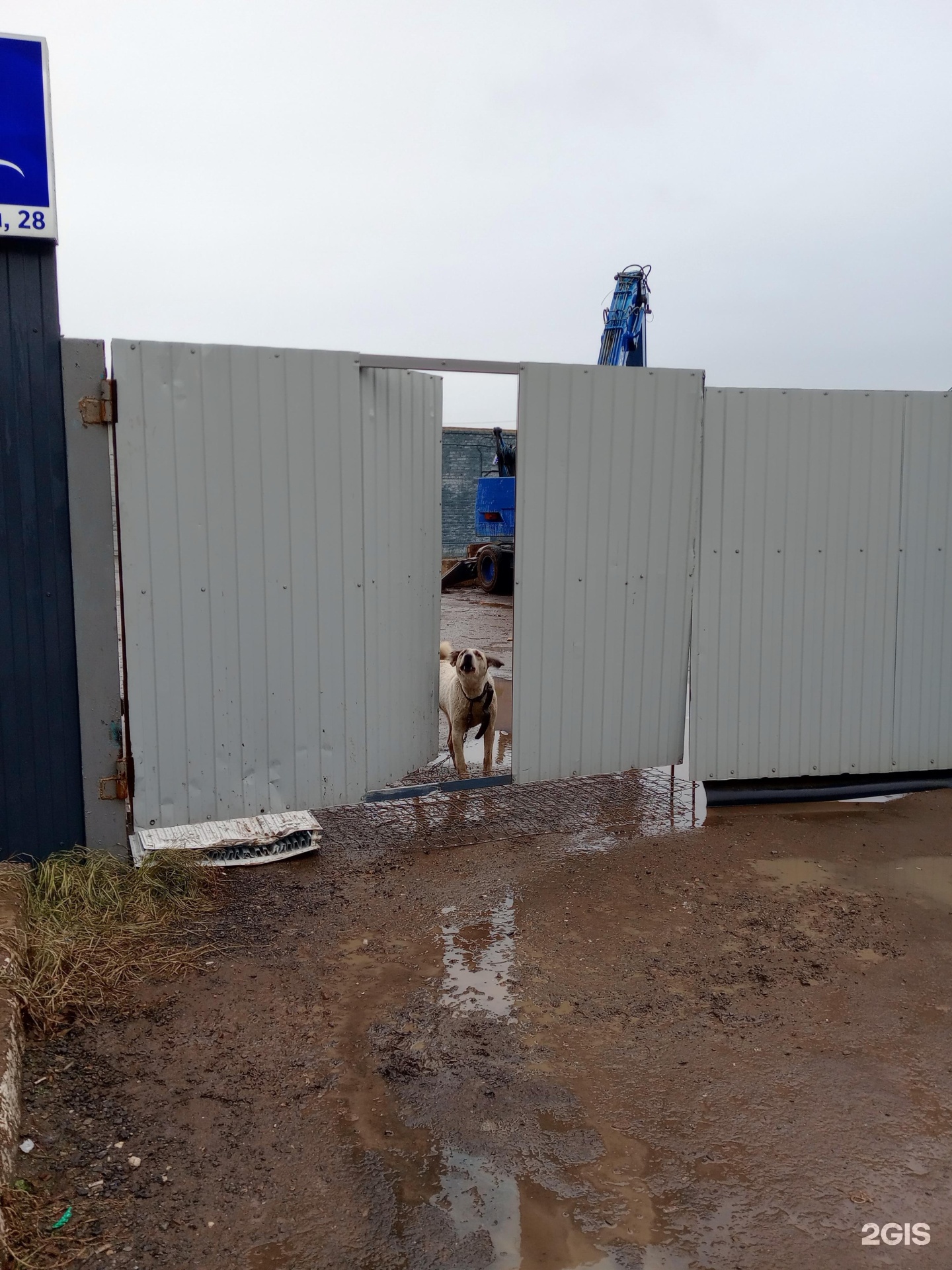 вмс волгоград металлолом. азизбекова 2а волгоград. оао сырьевая компания ишимбай. ооо волгоградский двигательмонтаж. 40 лет влксм 29а волгоград красноармейский район.