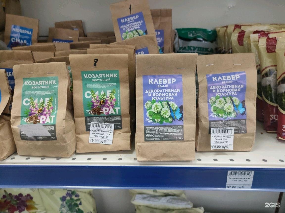 Садовый центр на пирогова новокузнецк. Садовый центр успех. Лавка успеха кемерово. Садовый центр успех. Пирогова 9 новокузнецк садовый центр каталог.