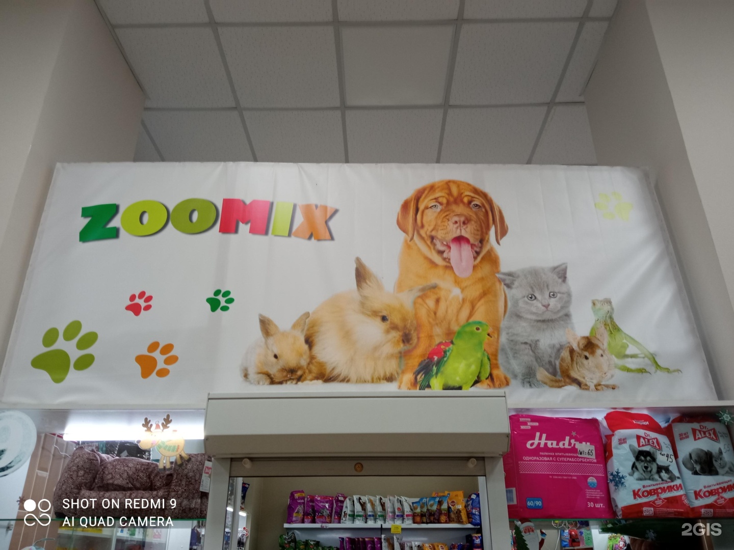 Shop zoomix fun