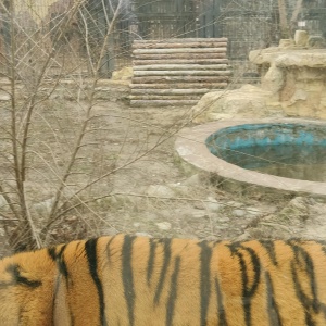 Фото от владельца Воронежский зоопарк