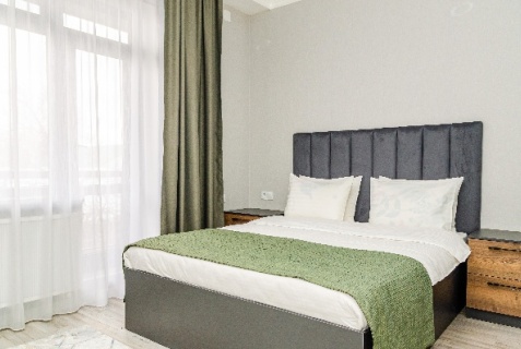 Бишкек: Отель Dosman Hotel