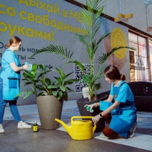 Фото от владельца Авенир, компания