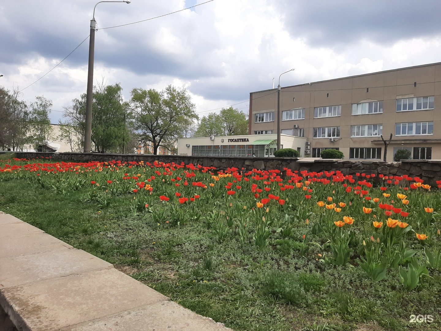 воронежская городская поликлиника № 7 воронеж. воронежская городская клиническая поликлиника № 7. ул маршака воронеж. воронежская городская клиническая поликлиника № 1. писателя маршака 3 воронеж.