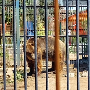 Фото от владельца Карагандинский государственный зоопарк