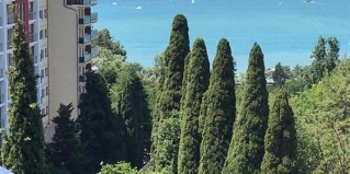 Сочи: Отель Joy apartments