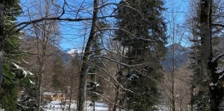 Архыз: Коттедж Горница