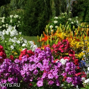 Фото от владельца Landy`s, студия ландшафтного дизайна