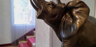 Сочи: Отель Maro