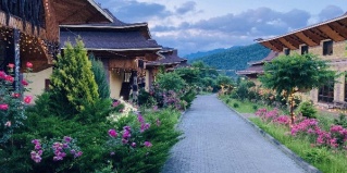 Хамышки: Коттедж Китайская деревня