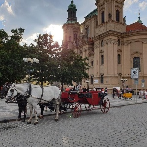 Фото от владельца Work and Travel, студенческое агентство