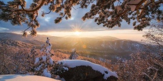 Белокуриха: Коттедж Абажур