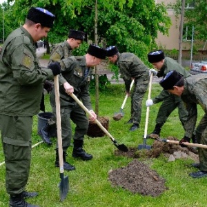 Фото от владельца Центральный парк культуры и отдыха