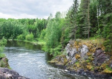 с. Янишполе: Турбаза Хитрый лис