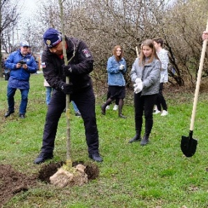 Фото от владельца Центральный парк культуры и отдыха