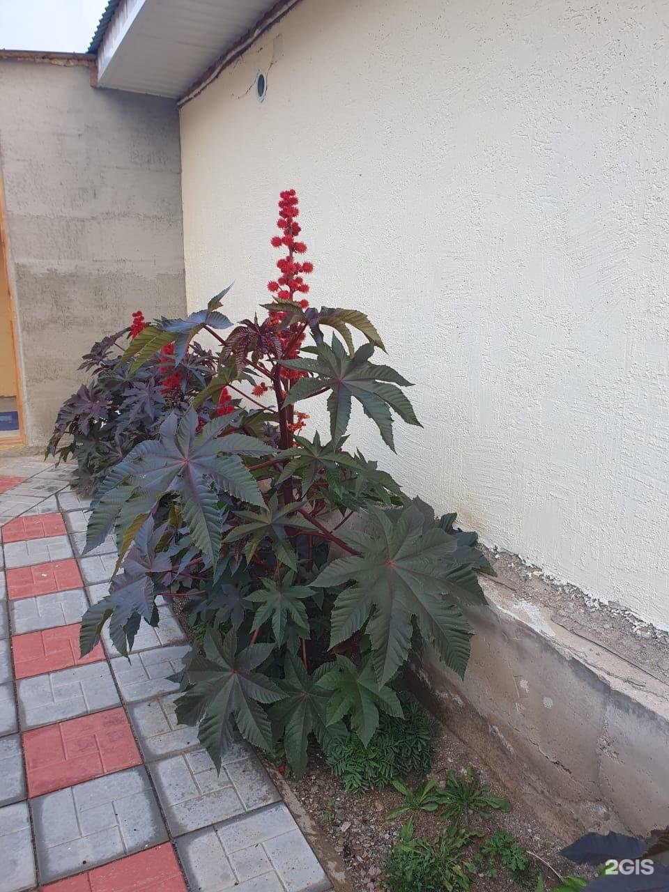 Гостевой дом