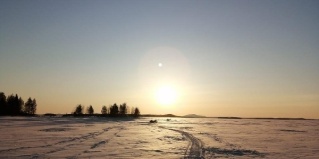 Зеленоборский: Отель Травяная